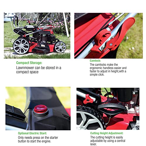 KEINXOW 3 in 1 Lithium-Ion Battery Electric Lawn Mowers 2 * 36V Portable Cordless Walk-Behind Lawn Mowers 48cm Cutting Width 5 Adjustable Cutting Heights